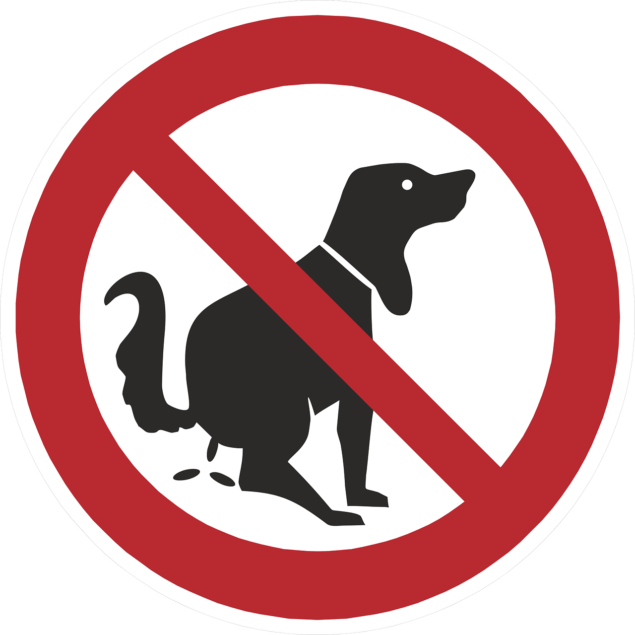 Dog Poop Should the Shoe be on the Other er Foot?