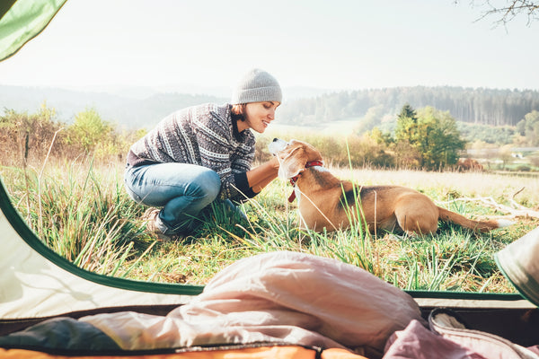 The 10 Best Things to Bring When Camping With Your Dogs