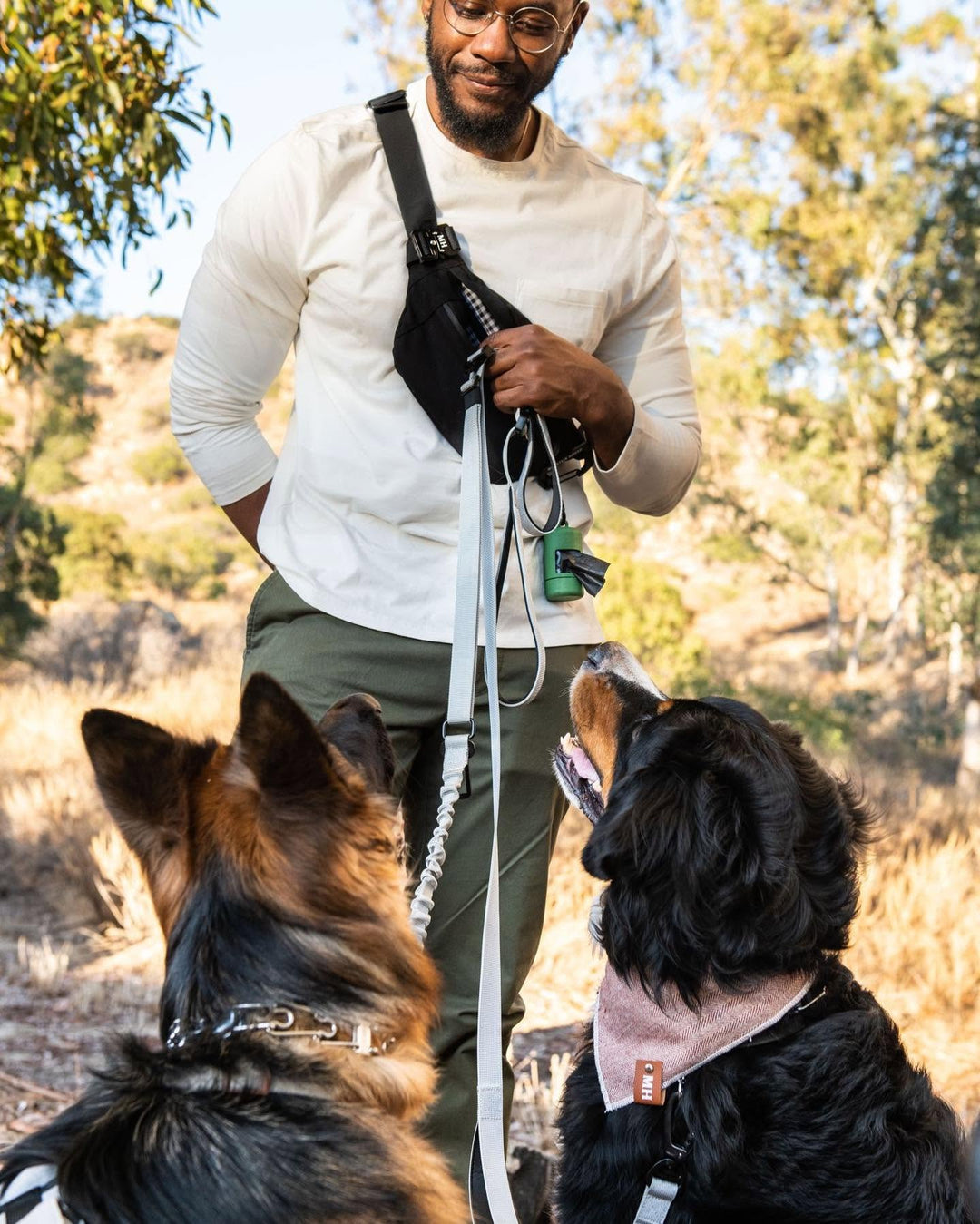 How to Walk Your Dog Hands-Free: The Complete Guide