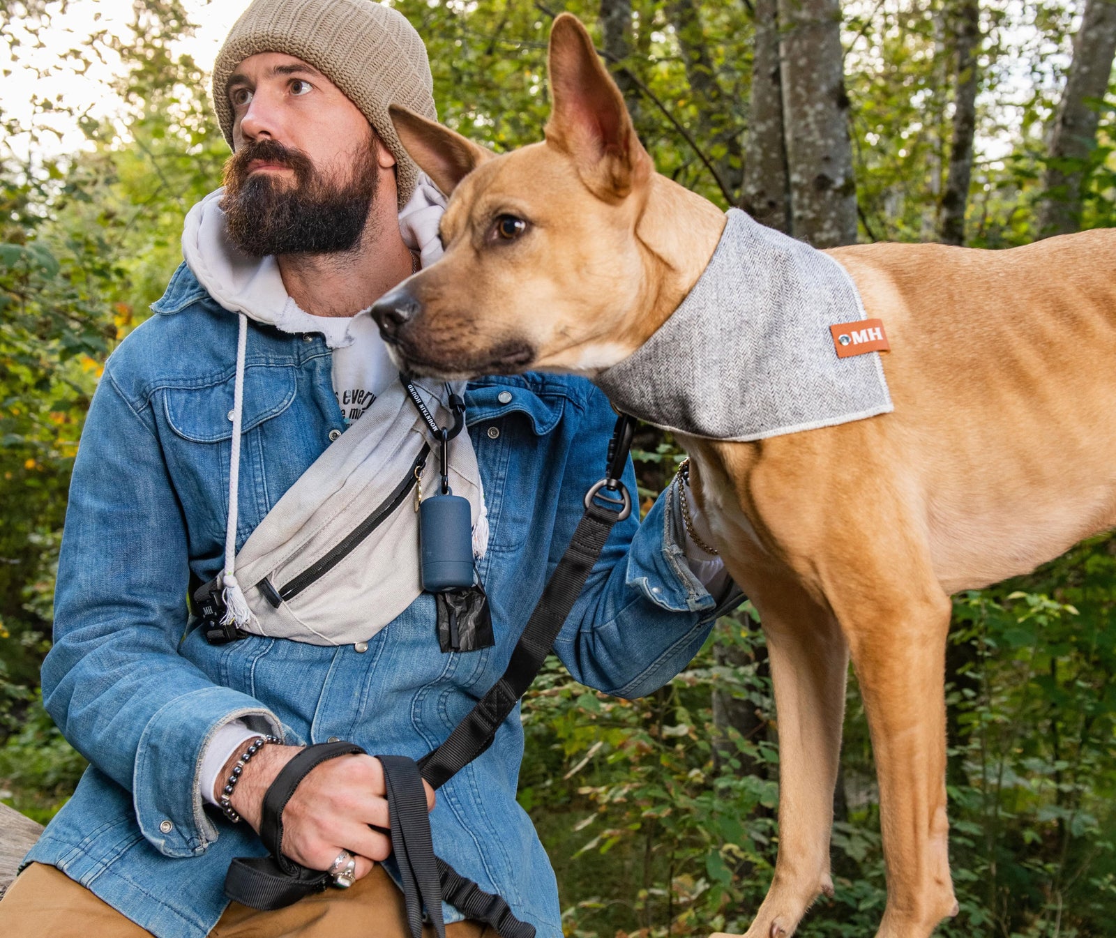 Dog Hiking Gear: The Essential List for Adventure Dogs (2026)