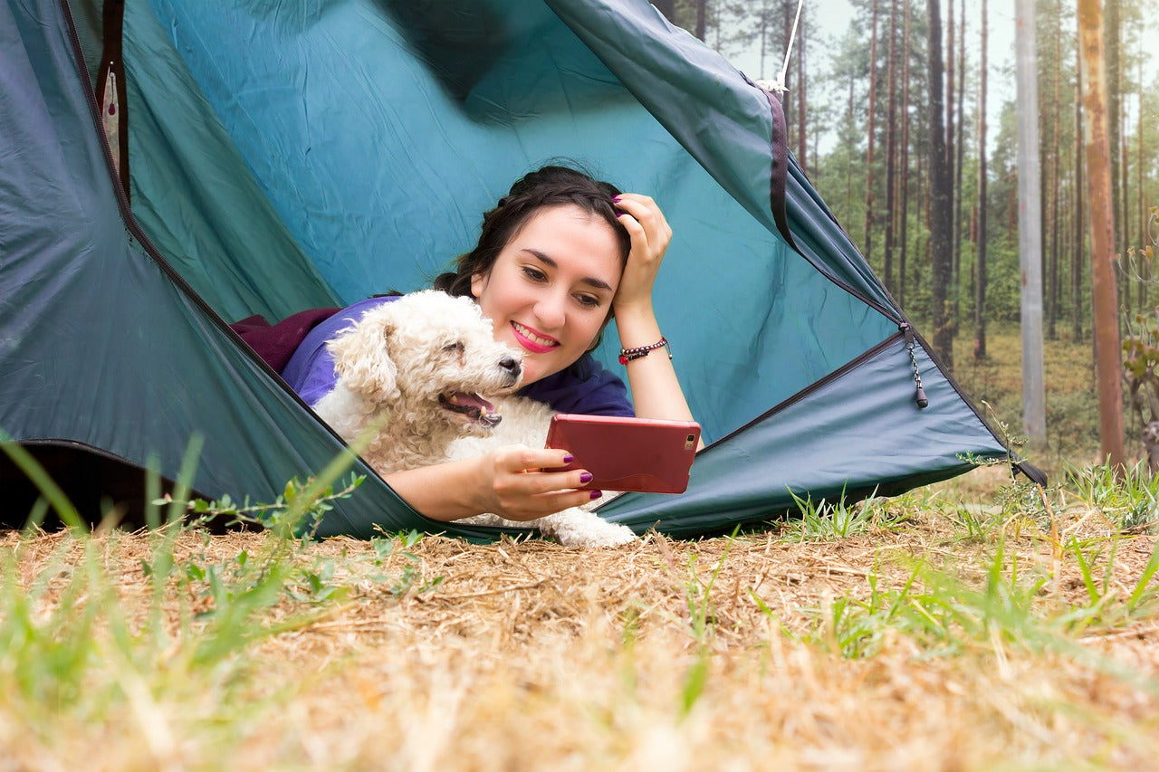 Stress-free Camping With Your Hound – The Mountain Hound