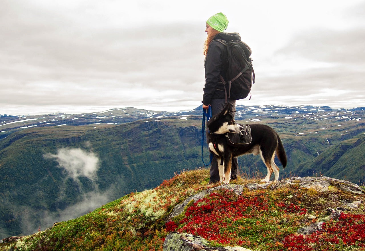 What to Pack When Hiking With Your Dog