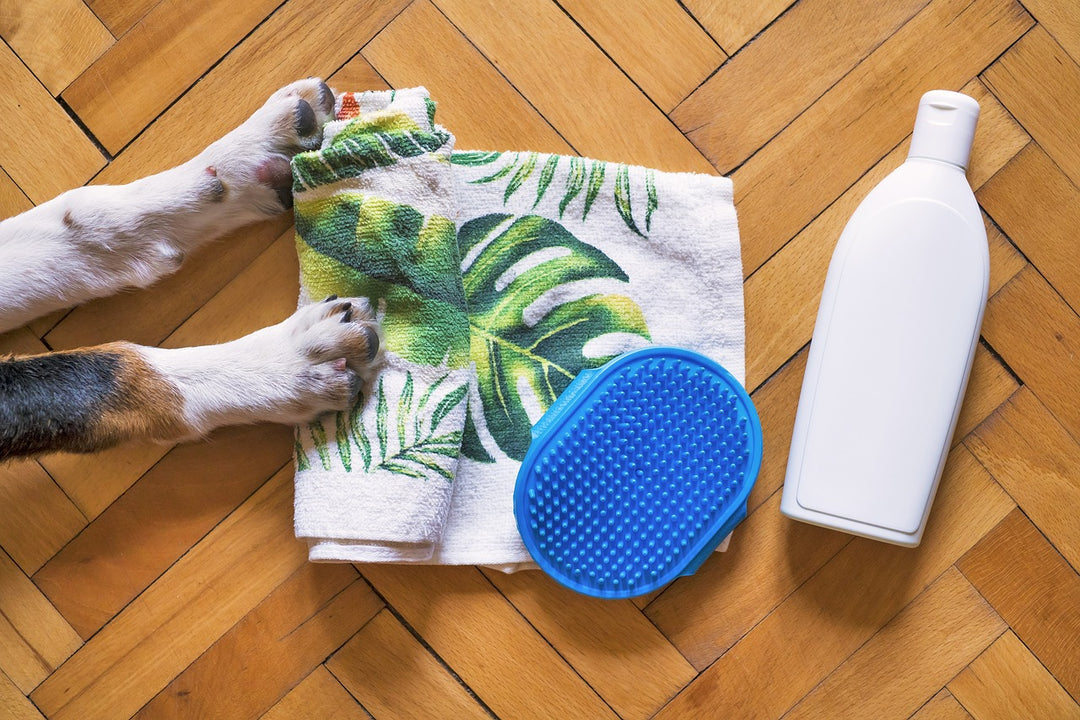 The Best Coat Sprays for Dogs: A Comprehensive Guide