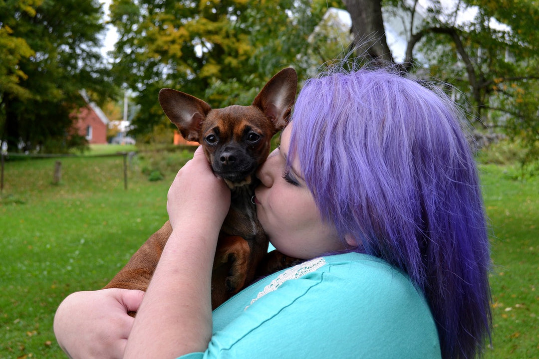 Therapy Dogs for Emotional Support