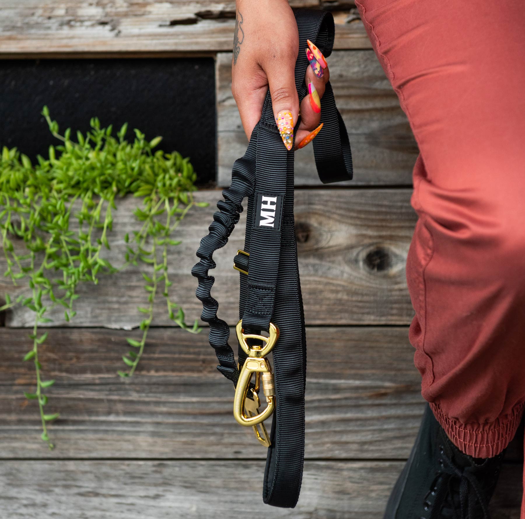 Adventure Bungee Dog Leash — Shock-Absorbing, Hands-Free