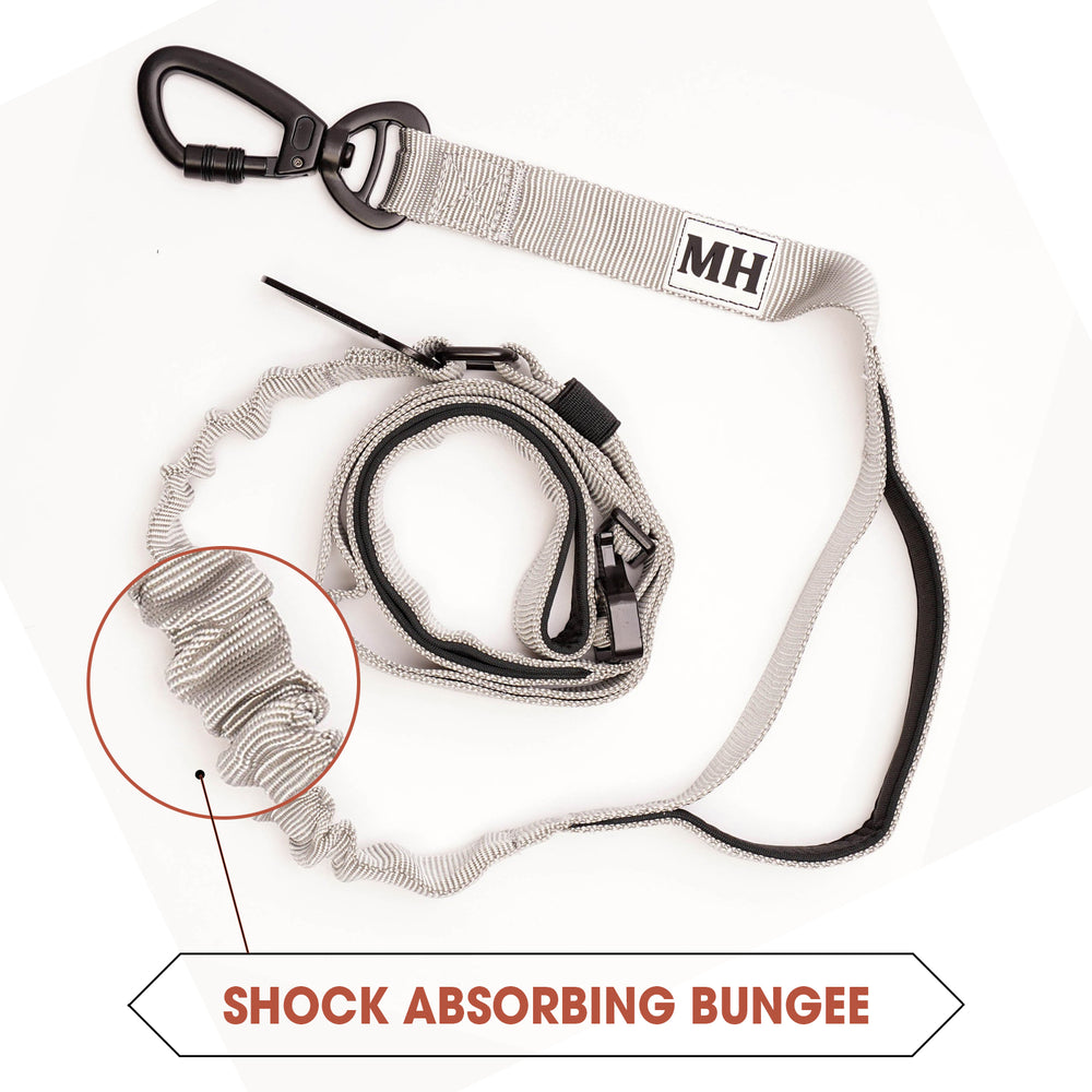 Adventure Bungee Leash