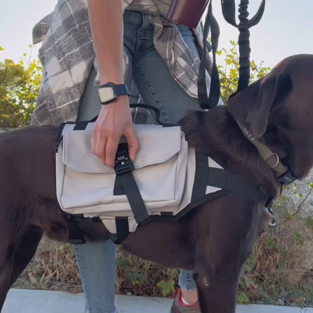 Trailblazer Dog Pack