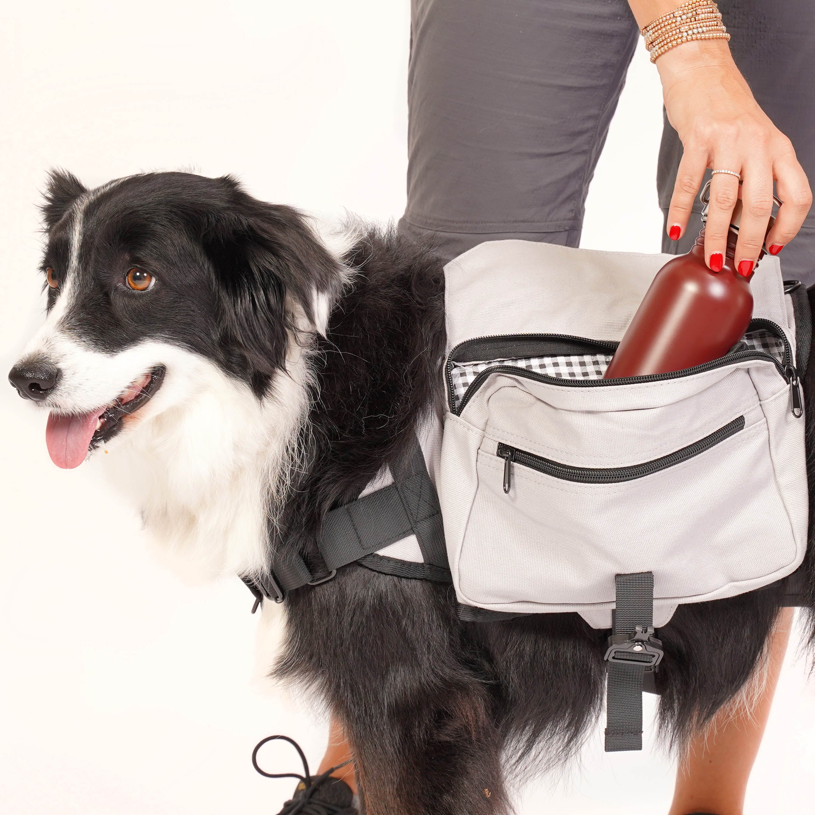 Trailblazer Dog Pack – The Mountain Hound