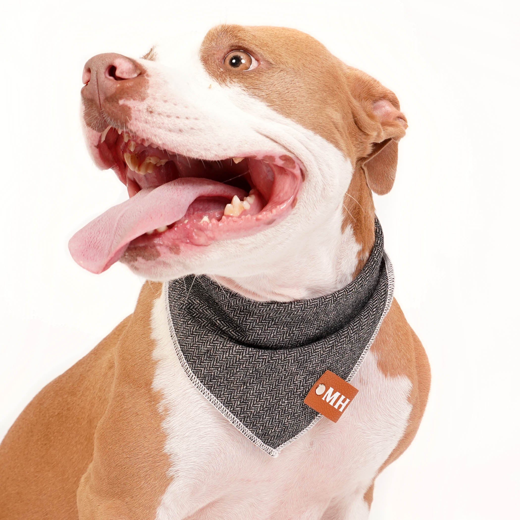 新品未使用 TENDERLOIN T-BANDANA 3 HONAI Backcountry Bandana – The Mountain Hound