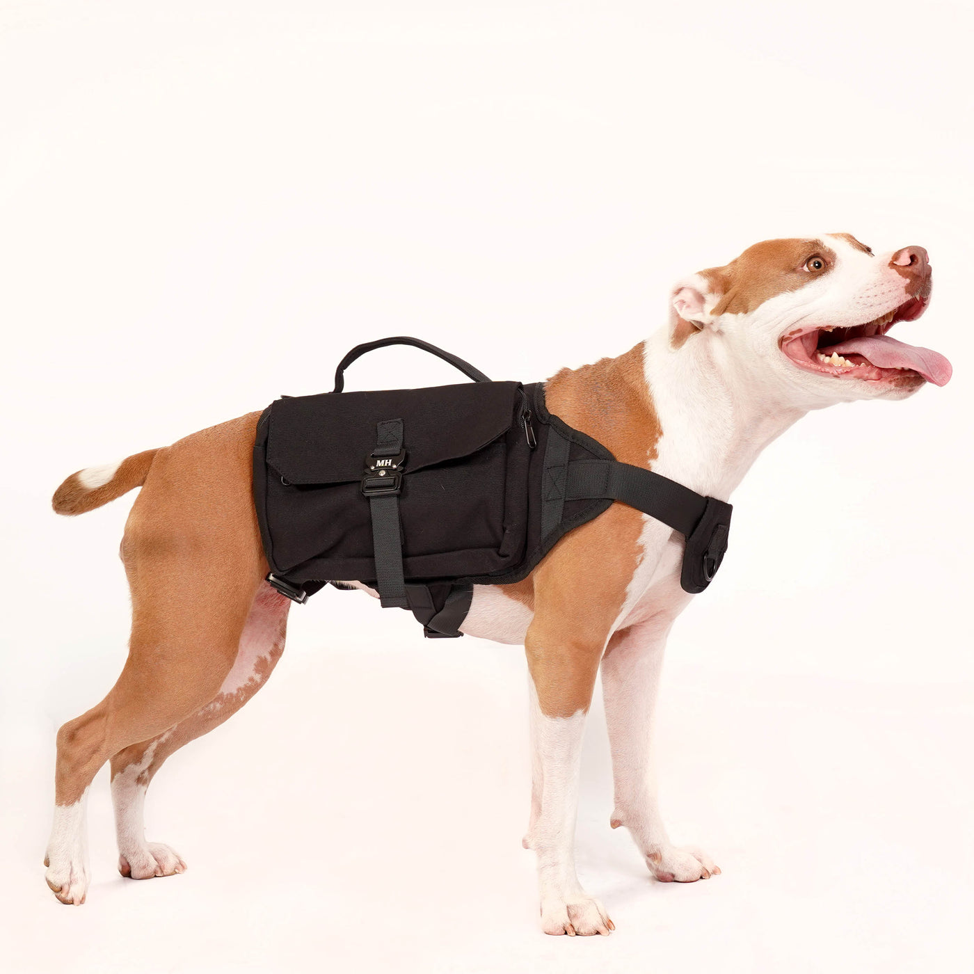 Trailblazer Dog Pack